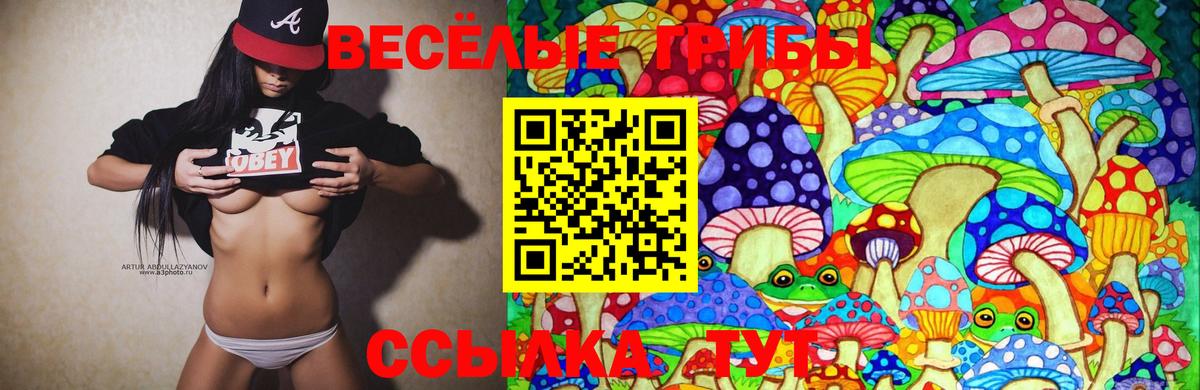 Псилоцибиновые грибы Psilocybine cubensis  Вход с VPN  Нальчик 